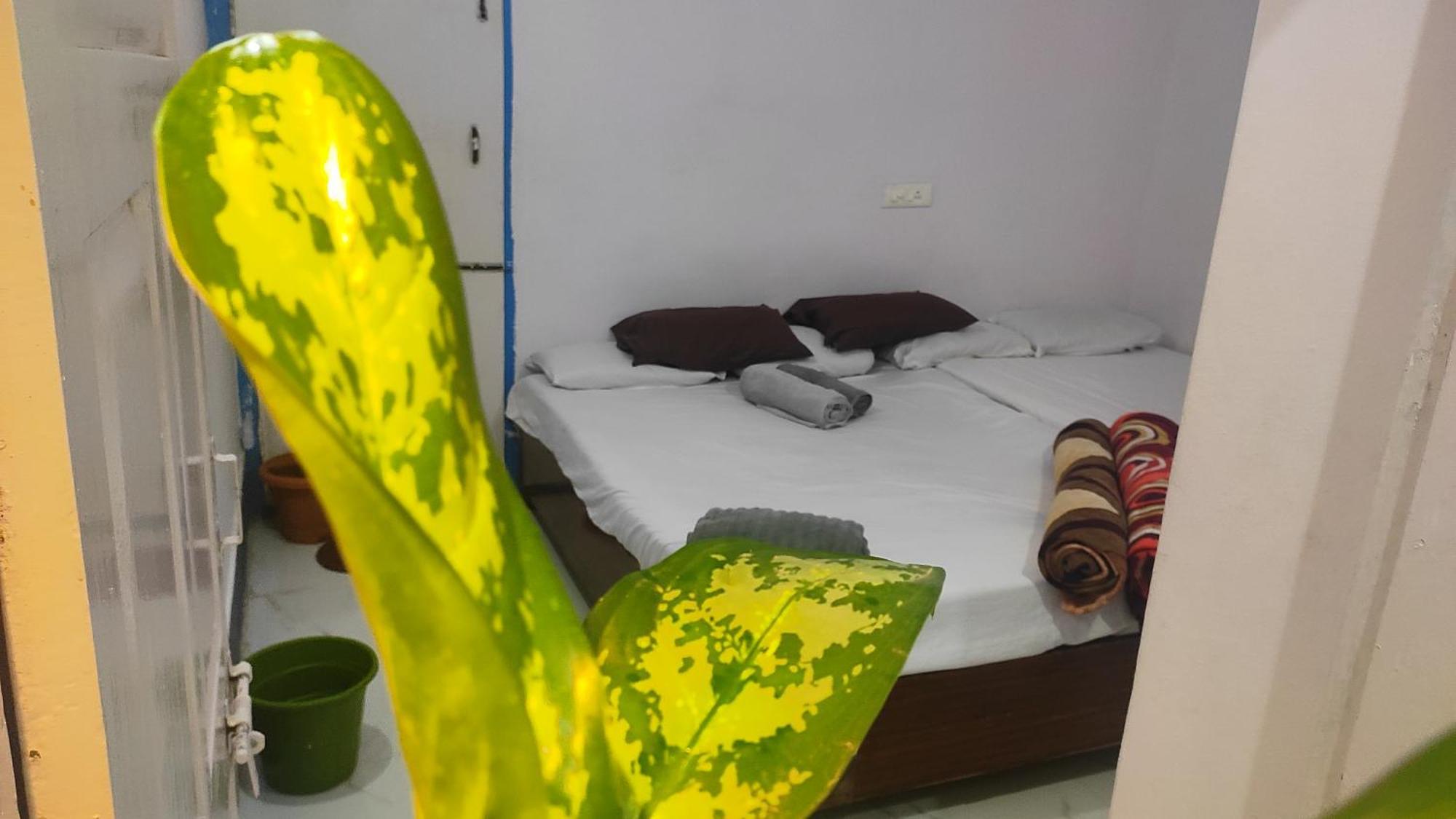 Narasimharaja Puram Adh Amilia Gardens酒店 外观 照片