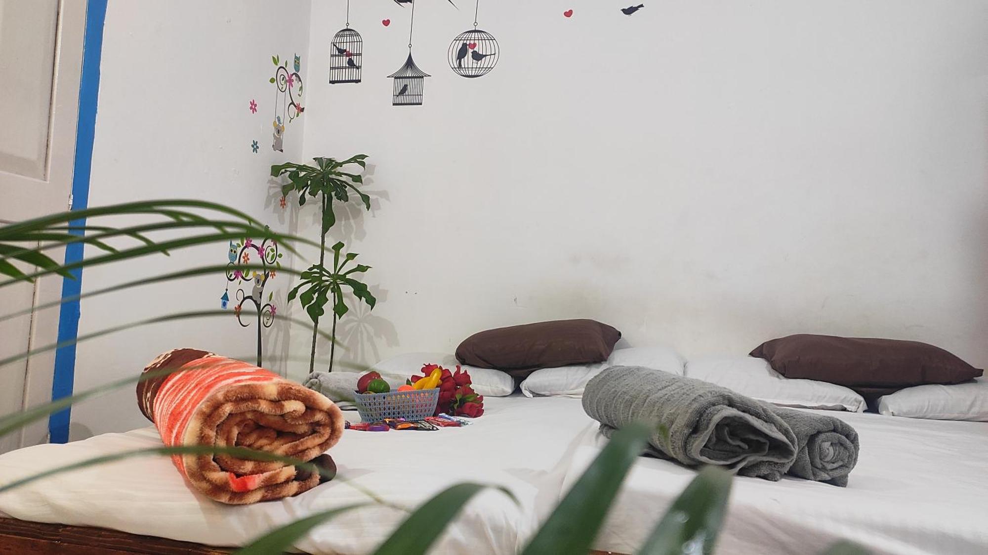 Narasimharaja Puram Adh Amilia Gardens酒店 外观 照片
